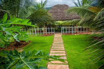 Garden path to the thatched gazebo past banana plants