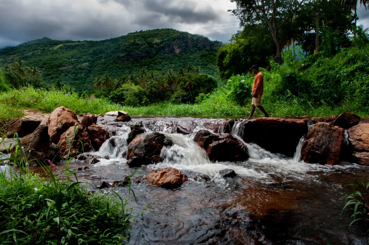 A stream running over rocks below the forested Western Ghats near Jungle Valley Farms