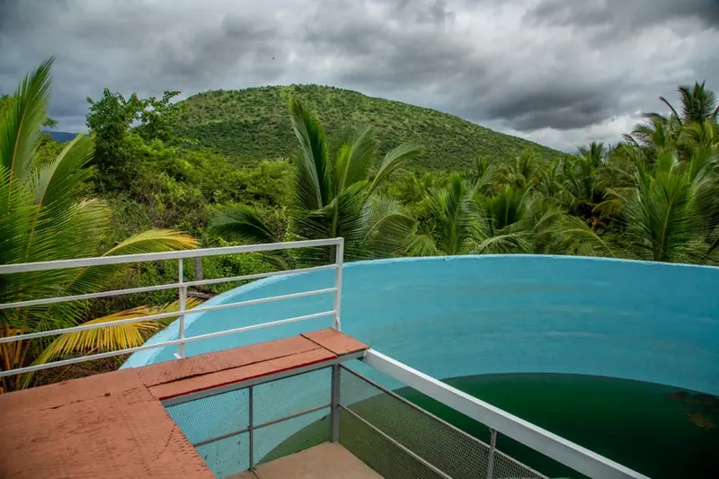 Open deck with green canopy above the coconut grove