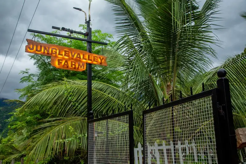 The Jungle Valley Farm entrance sign at the gate, among the coconut palms
