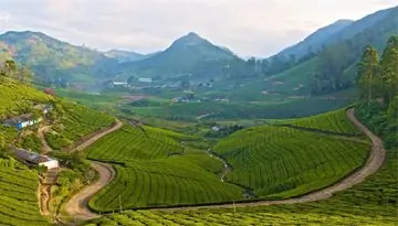 Megamalai near Cumbum, Tamil Nadu